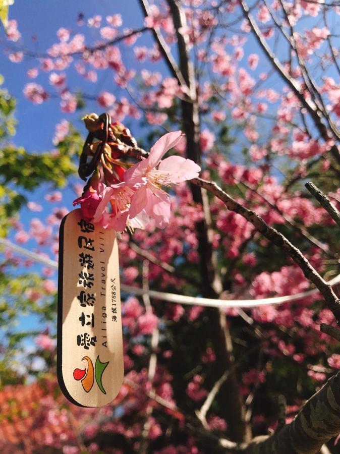 Ailiga Travel Villa 仁愛郷 エクステリア 写真