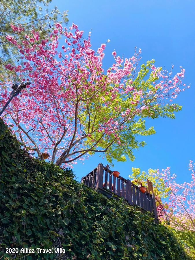 Ailiga Travel Villa 仁愛郷 エクステリア 写真