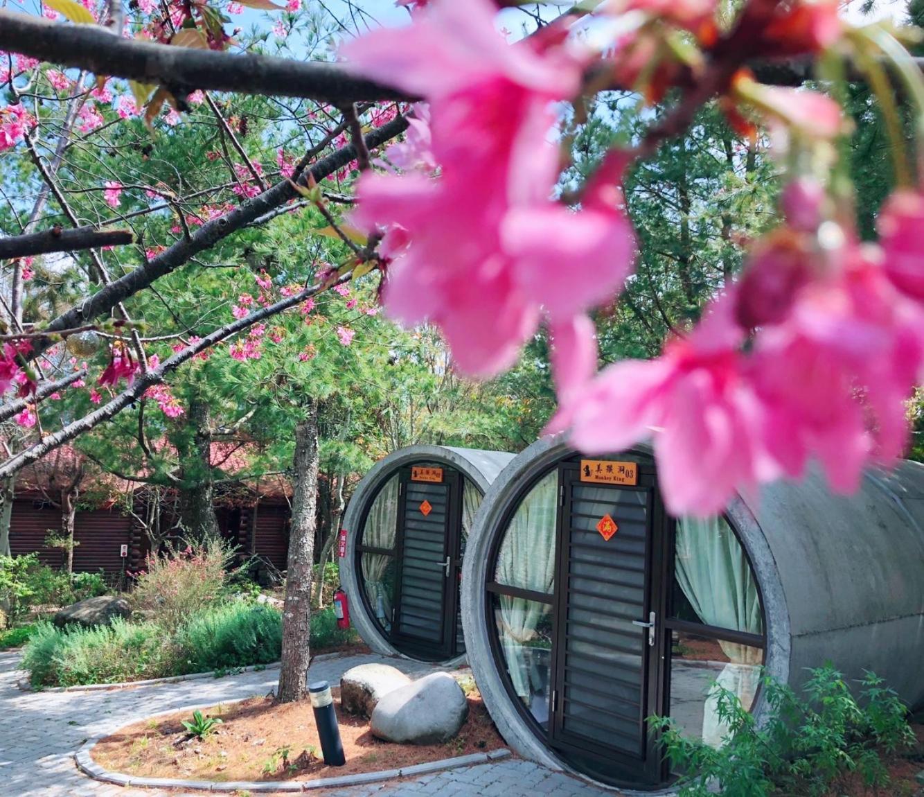 Ailiga Travel Villa 仁愛郷 部屋 写真